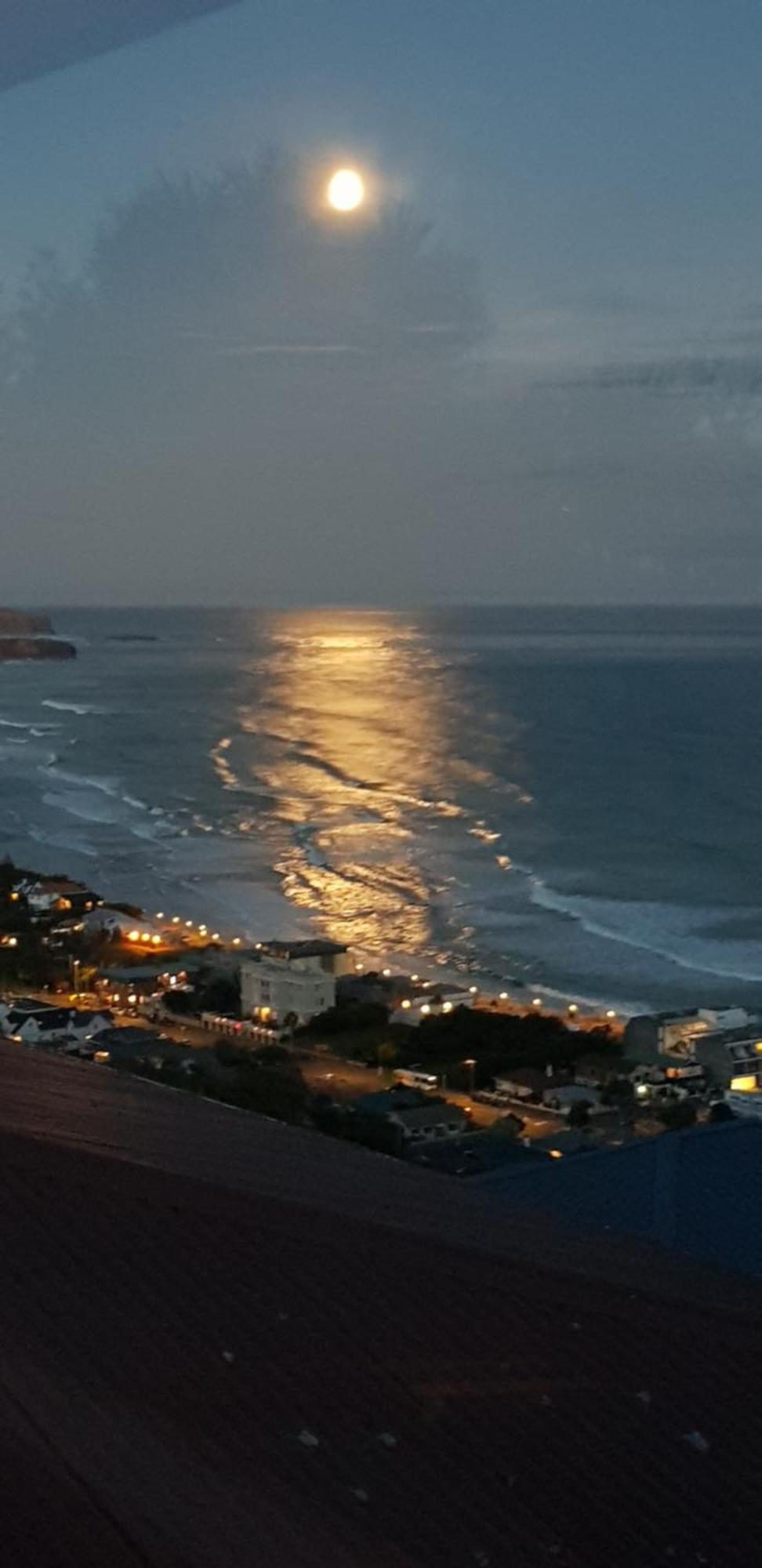 Rosemount B&B By The Sea St Clair Данідін Екстер'єр фото